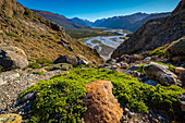 Scenic view from Mirador Rio de las Vueltas, Los Glaciares National Park, UNESCO World Heritage Site, Patagonia, Argentina, South America