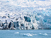 A view of the tidewater glacier face at Fjortende Julibukta (14th of July Glacier), Svalbard, Norway, Europe