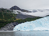 A view of the Aialik Glacier, coming off the Harding Ice Field, Kenai Fjords National Park, Alaska, United States of America, North America