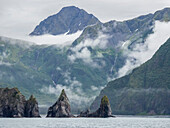 A view of Spire Cove in Resurrection Bay in Kenai Fjords National Park, Alaska, United States of America, North America