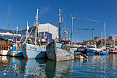 A view commercial fishing and whaling boats in the inner harbor in the city of Ilulissat, Greenland, Denmark, Polar Regions