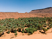 Die Oase von Diouk, Mauretanien, Sahara-Wüste, Westafrika, Afrika