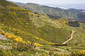 Hügel und Berge im farbenfrohen Hinterland von Madeira vom Aussichtspunkt Pedras aus gesehen, Madeira, Portugal, Atlantik, Europa