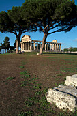 Tempel der Athene, Paestum, UNESCO-Welterbe, Provinz Salerno, Kampanien, Italien, Europa