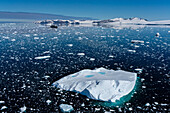 Luftaufnahme des Larsen Inlet, Weddellmeer, Antarktis, Polarregionen