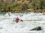 Commercial dory runs the Deubendorff Rapid, just past river mile 132, Grand Canyon National Park, Arizona, United States of America, North America