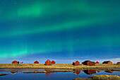 Aurora Borealis (Nordlicht) am sternenklaren Nachthimmel über den Fischerhütten, Eggum, Vestvagoy, Nordland, Lofoten, Norwegen, Skandinavien, Europa
