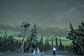Hiker with headlight admiring the Northern Lights (Aurora Borealis) standing in the snowy forest, Kangos, Norrbotten County, Lapland, Sweden, Scandinavia, Europe