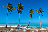 Weißer Sandstrand, Anaa-Atoll, Tuamotu-Archipel, Französisch-Polynesien, Südpazifik, Pazifik