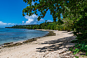 Weißer Sandstrand, Taveuni, Fidschi, Südpazifik, Pazifik