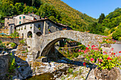 Fabbriche di Vallico, Ponte Colandi, Fußgängerbrücke aus dem 14. Jahrhundert, Bach Turrite Cava, Garfagnana, Toskana, Italien, Europa