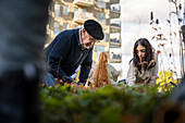 Group of neighbors gardening together in courtyard