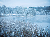 Winter lake