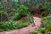 Junge fährt mit dem Mountainbike durch den Wald