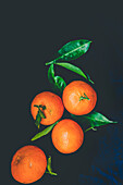 Tangerines, studio shot