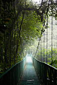 Blick auf Hängebrücke im Wald