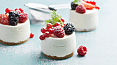Cream dessert with fresh berries