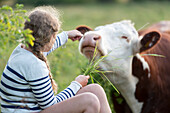 Girl holding grass for cow