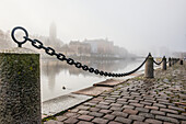 Foggy riverbank