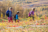 Mother hiking with children