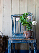 Potted geranium on chair