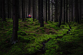 Hiker in forest