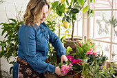 Frau pflanzt Blumen im Wintergarten