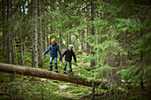 Boys in forest walking on tree trunk