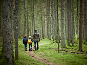 Vater mit Söhnen beim Spaziergang im Wald