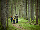 Father with sons walking in forest