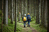 Jungen gehen im Wald spazieren