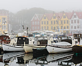 Moored fishing boats