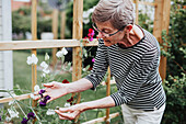 Ältere Frau prüft Erbsenblüten