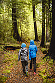 Children walking through forest