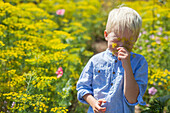 Junge riecht an Blume