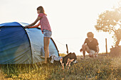Young couple putting tent up