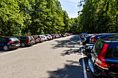 Line of cars in forest parking