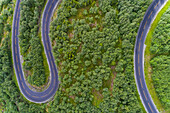 Aerial view of country road