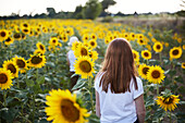 Ein Kind in einem Sonnenblumenfeld.