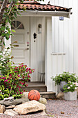 Basketball in front of house