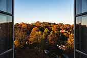 Herbstbäume durch Fenster gesehen