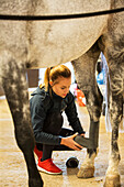 Woman taking care of horse