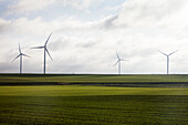 Feld mit Windrädern