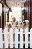 Dog rearing up on gate, girl on background
