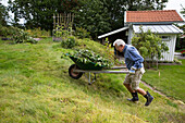 Man pushing wheelbarrow in garden