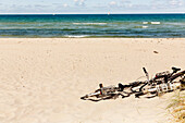 Bicycles on sandy beach