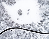 Luftaufnahme einer Straße im Wald im Winter