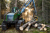 Forest machine at work