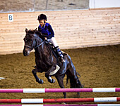 Junge reitet auf Pferd in Koppel, springt über Hürde