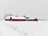 Farm buildings at winter